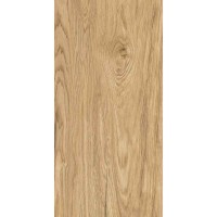 TILIA BROWN 60x120 3516 TILIA BROWN 60x120 3516