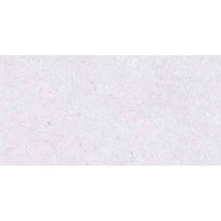 PALAZZO LIGHT GREY 30x60 4618 PALAZZO LIGHT GREY 30x60 4618