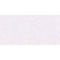 VARESE LIGHT GREY 30x60 4640 VARESE LIGHT GREY 30x60 4640