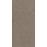 STONELINE BROWN 60x120 9922 STONELINE BROWN 60x120 9922