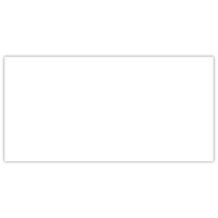WHITE MATT RECTIFIED 30x60 WHITE MATT RECTIFIED 30x60