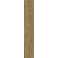 ISLANDIA ABEDUL IN&OUT RECTIFIED 20x120