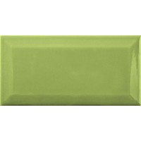 METRO GREEN BEVELLED 10x20