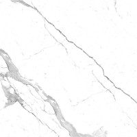STATUARIO PREMIER POLISHED 60x60 STATUARIO PREMIER POLISHED 60x60